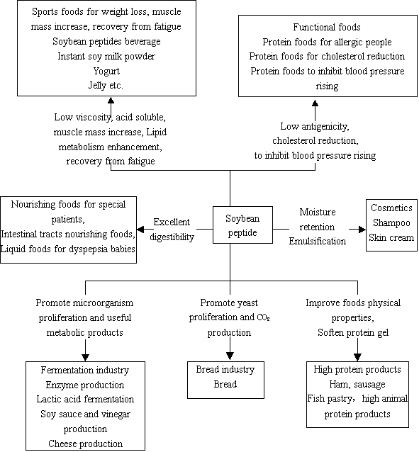 High protein products